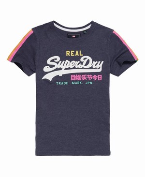 Superdry Vintage Logo Sleeve Stripe Női Pólók Kék | CPUNR1457